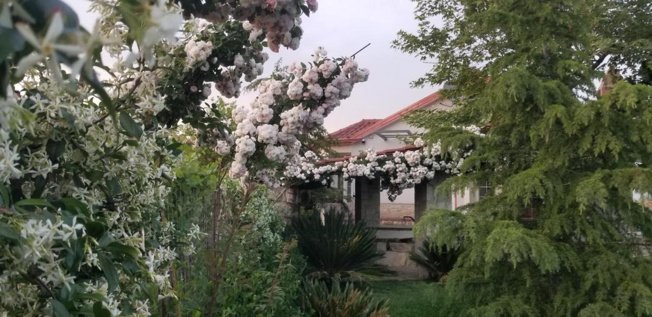 Country House Bubullime Albania Lushnje Bagian luar foto