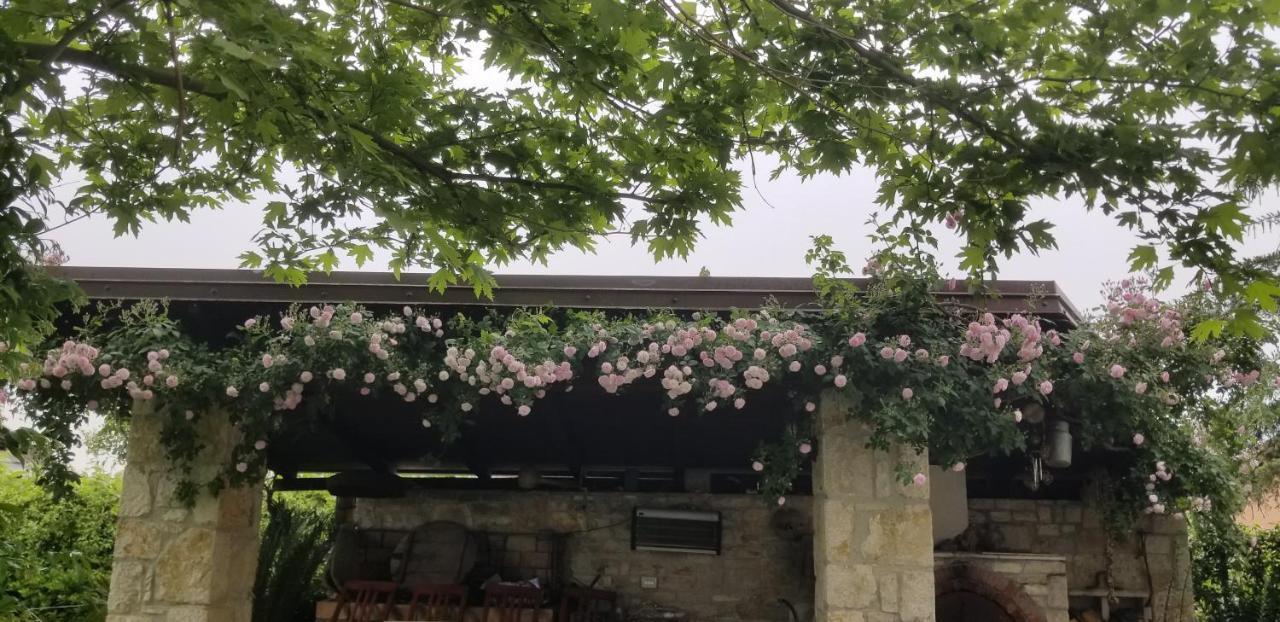 Country House Bubullime Albania Lushnje Bagian luar foto