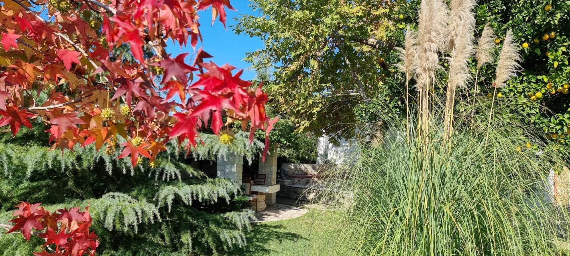 Country House Bubullime Albania Lushnje Bagian luar foto